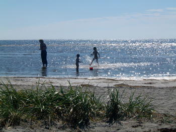 Björkängs Camping in Halland Björkängs Camping in Halland