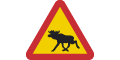 Achtung Elche oder anderes Wild