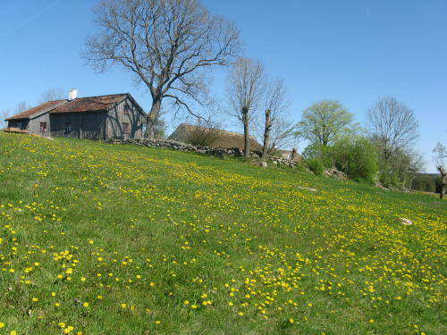 Äskhults by, Kungsbacka