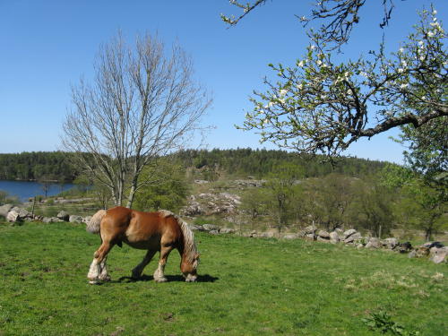 Äskhults by, Kungsbacka