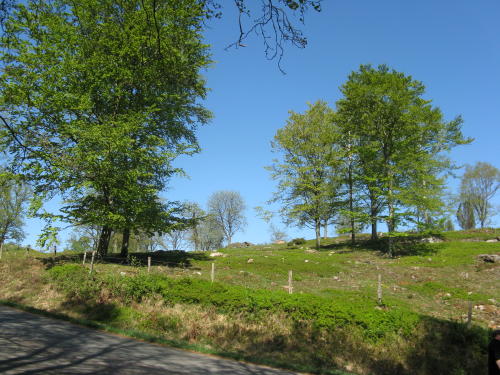 Äskhults by, Kungsbacka