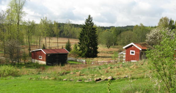 Aussicht vom Schwedentipps-Arbeitsplatz