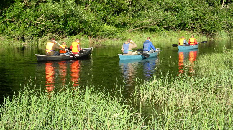 Biber-Safari auf dem Klarälven in Värmland