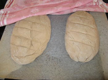 Brot backen Brot backen