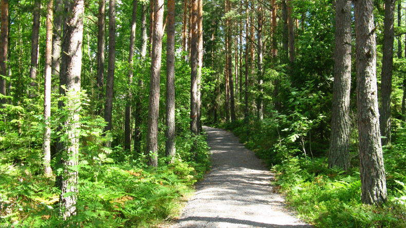 Dalsland
