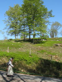 Dorf Äskhult