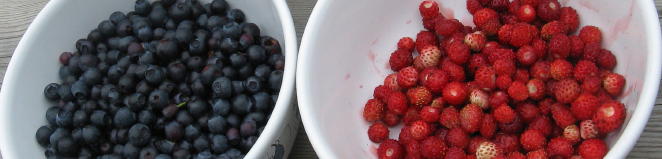 Essen in Schweden: Blaubeeren und Smultron Essen in Schweden: Blaubeeren und Smultron