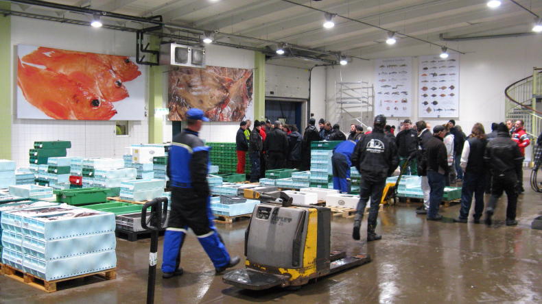 Fischauktion in Göteborg