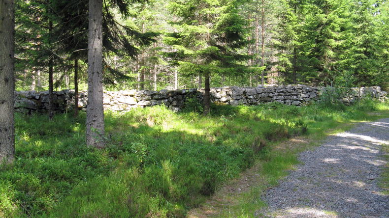 Glaskogens Naturreservat, Värmland