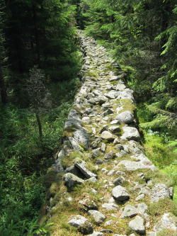 Glaskogens Naturreservat, Värmland