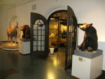 Naturhistorisches Museum Göteborg