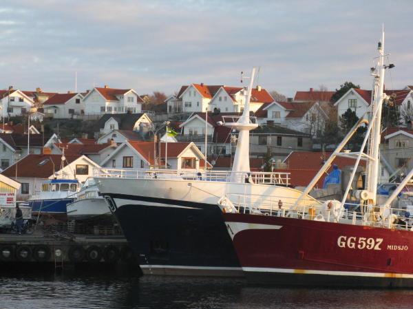 Fotogalerie: Winter in den Schären Göteborgs