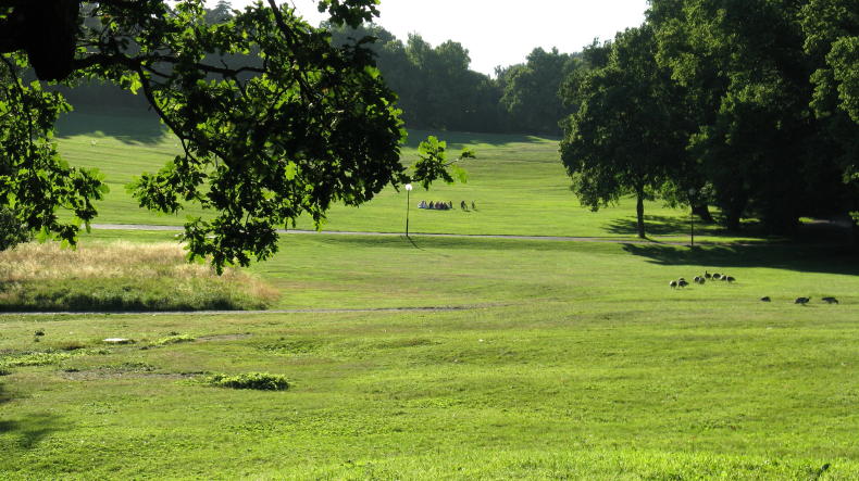 Hagapark