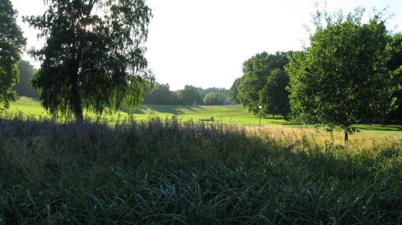 Hagapark