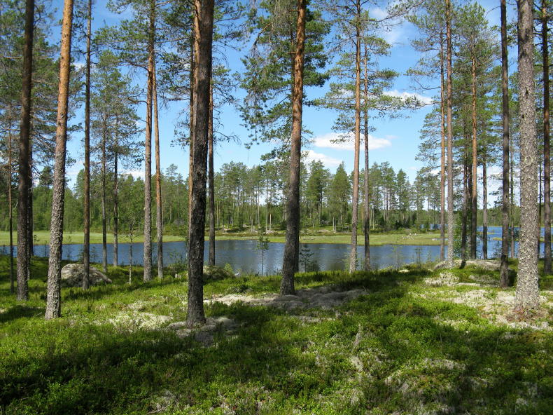 Auf einer Kanufahrt in Nordvärmland