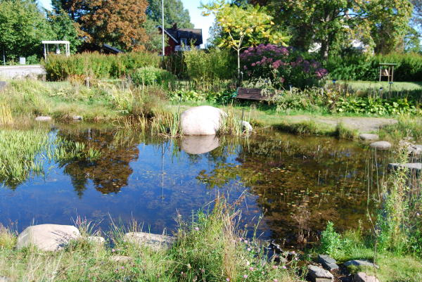 Kräutergarten Dals Rostock