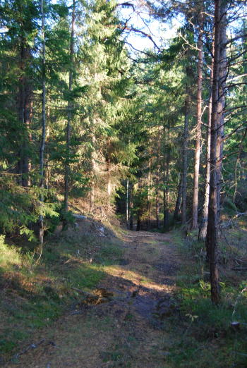 Kroppefjäll in Dalsland