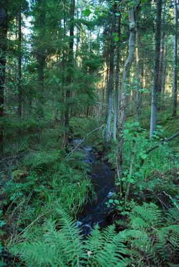 Kroppefjäll in Dalsland