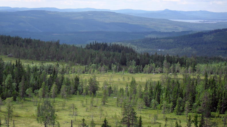 Bei Långbergets Sporthotell in Värmland