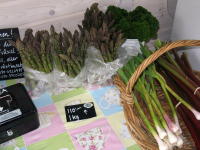 Spargel aus Schweden+