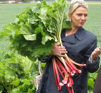 Rhabarber aus Schweden Spargel aus Schweden