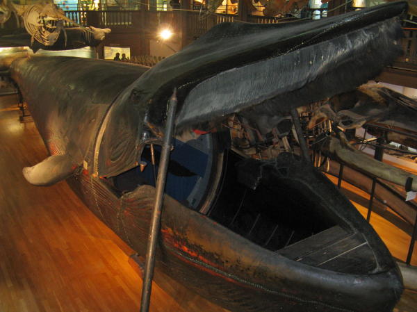 Malmscher Wal