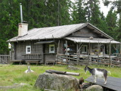 Ransbysätern