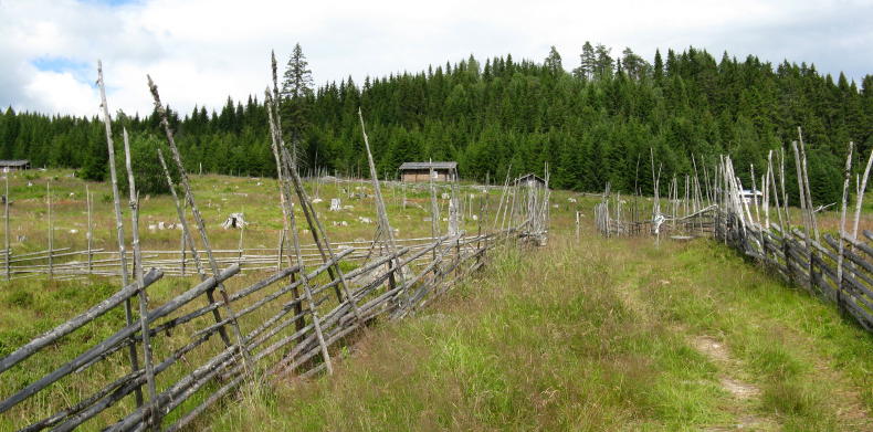 Ransbysätern