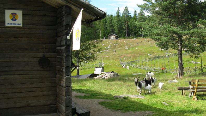 Ransbysätern