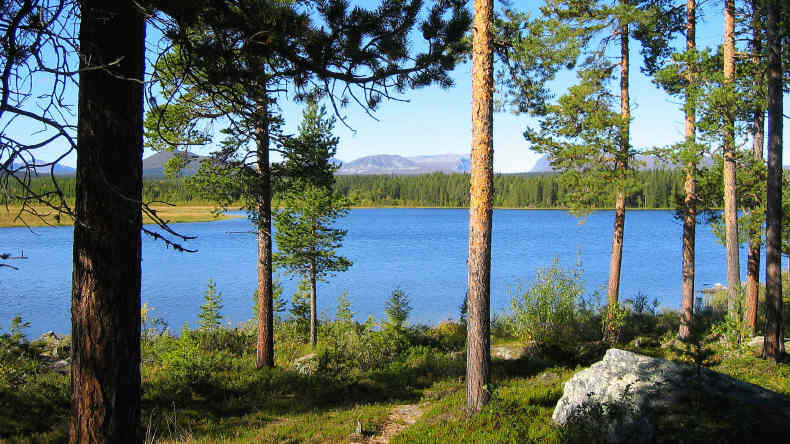 Schweden Aktiv Camp