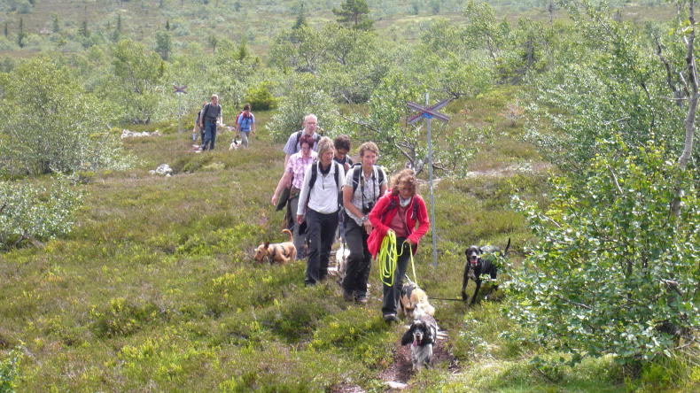 Schweden Aktiv Camp