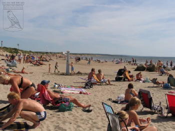 Skrea Strand