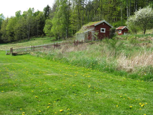 Sommer in Schweden