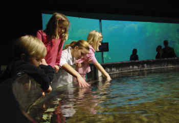 Universeum Universeum