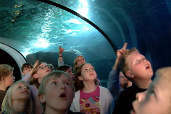 Universeum Universeum