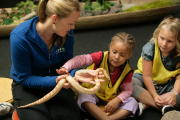 Universeum Universeum
