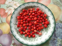 Walderdbeeren