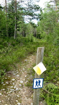 Wandern in Schweden