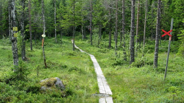Wandern in Schweden