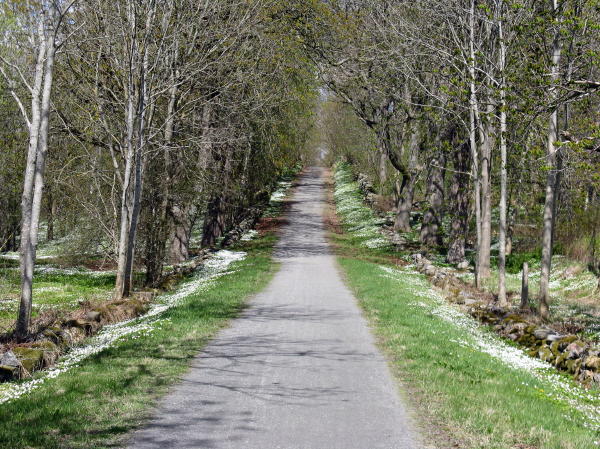 Wandern in Schweden