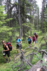 Wandern in Schweden