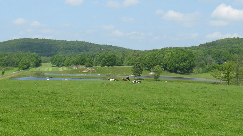 Åkulla Buchenwälder