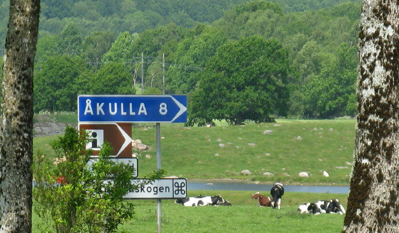 Åkulla Buchenwälder