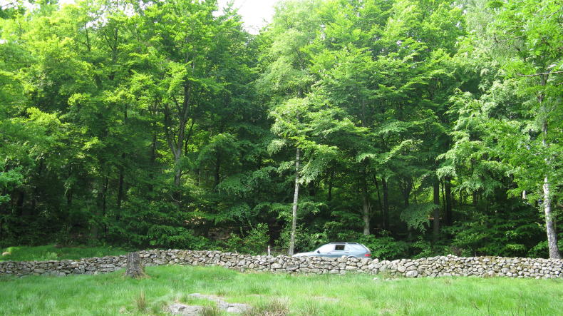 Åkulla Buchenwälder