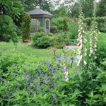 botanischer_garten_goeteborg_02