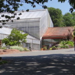 botanischer_garten_goeteborg_20