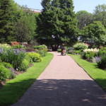 botanischer_garten_goeteborg_22