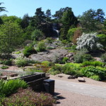 botanischer_garten_goeteborg_23