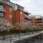 hammarby_sjoestad_06