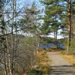 herbst_in_schweden_01